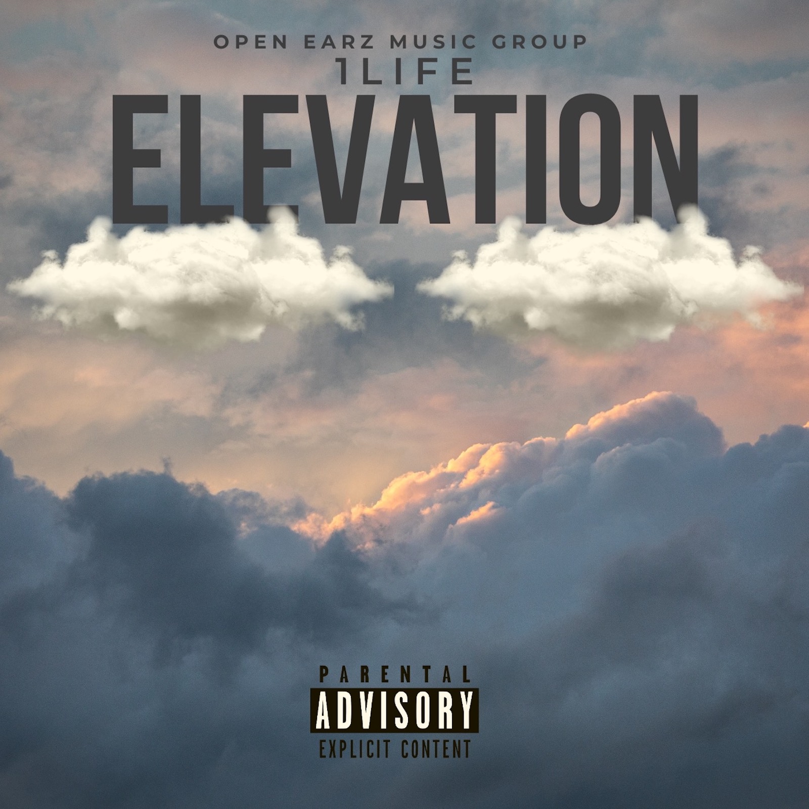 Elevation cover art