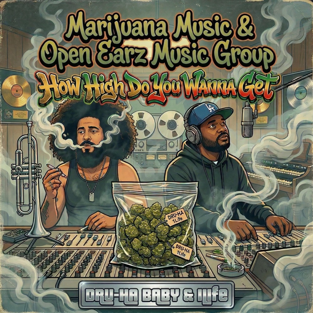How High Do You Wanna Get cover art